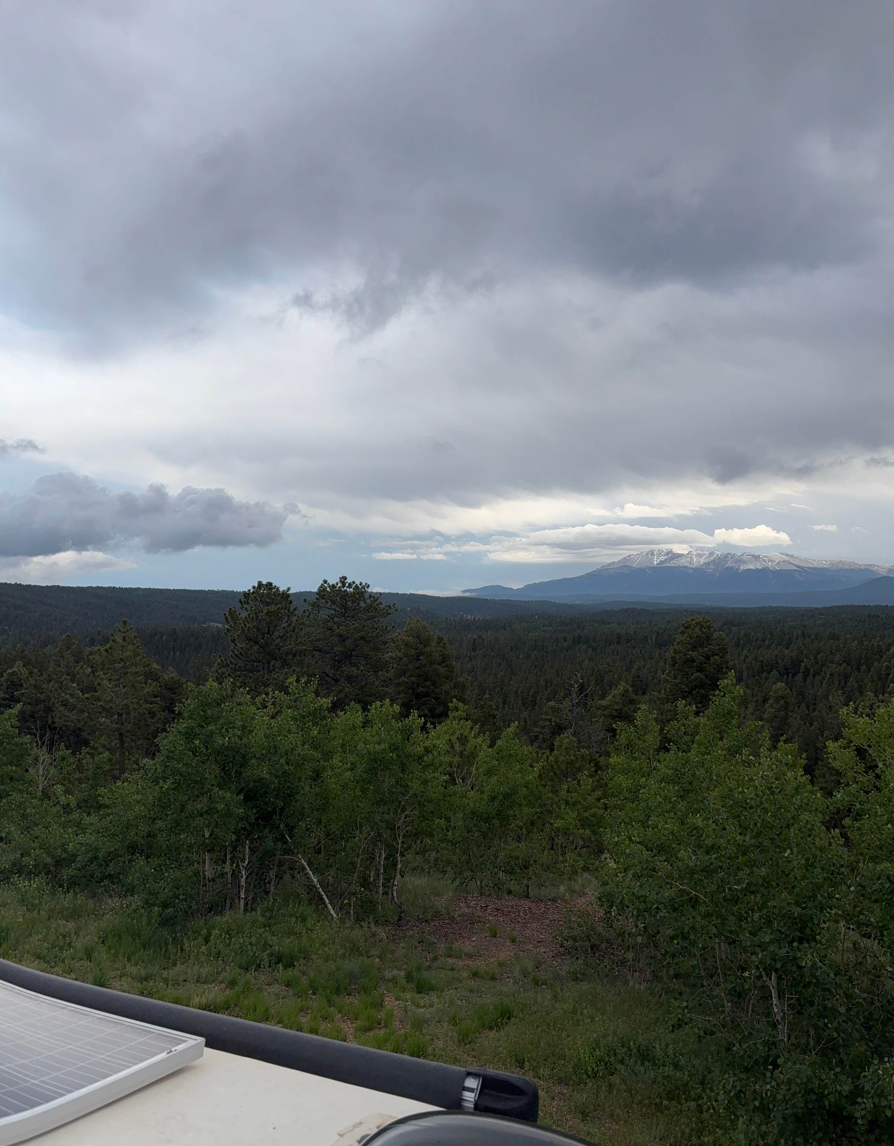 Michele A.'s photo of a dispersed camping area at Manchester Creek Trailhead near Lake George, CO