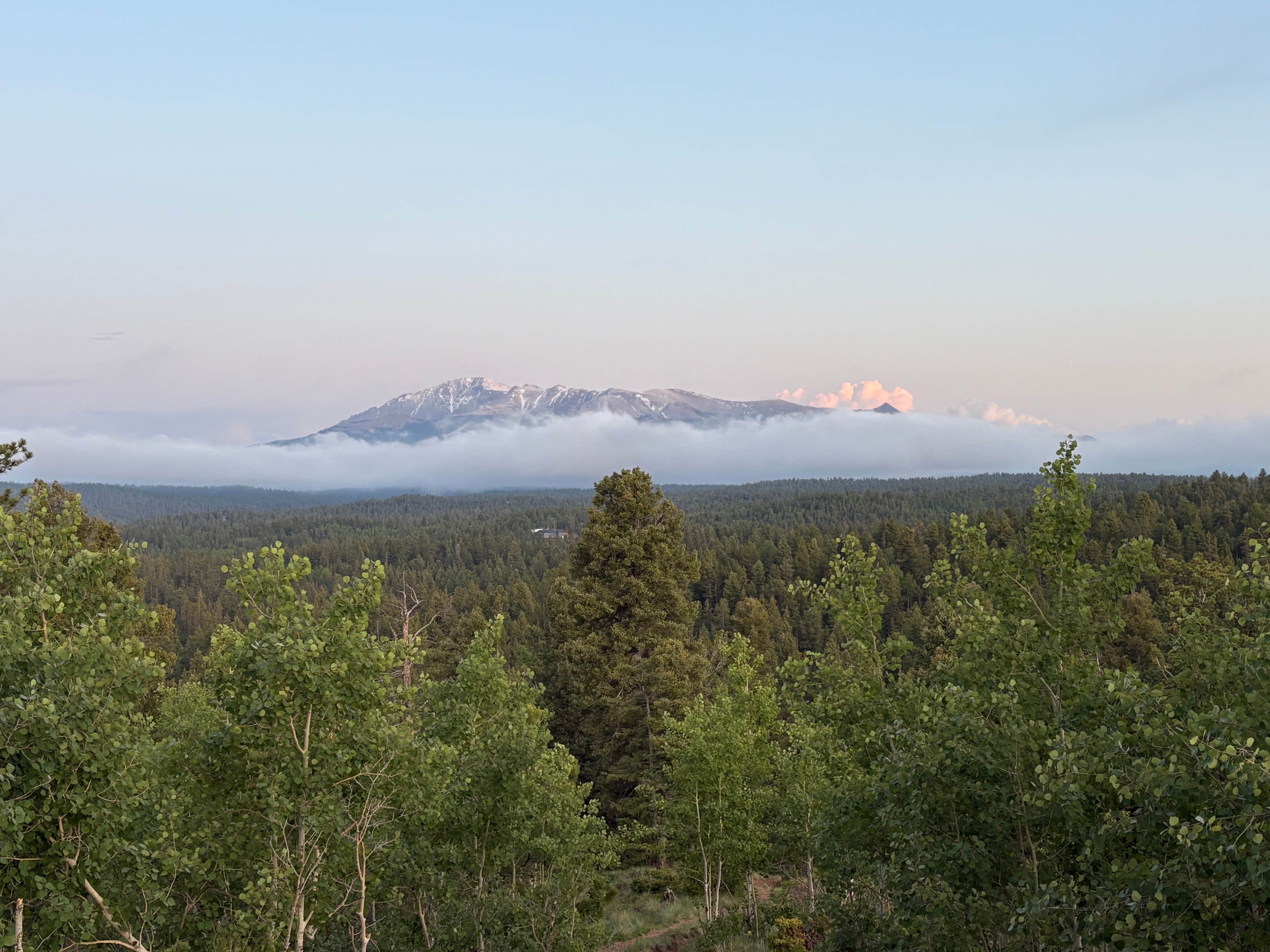Camper-submitted photo at Manchester Creek Trailhead near Florissant, CO
