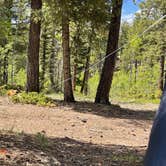 Review photo of Manchester Creek Trailhead by Ron M., June 1, 2026