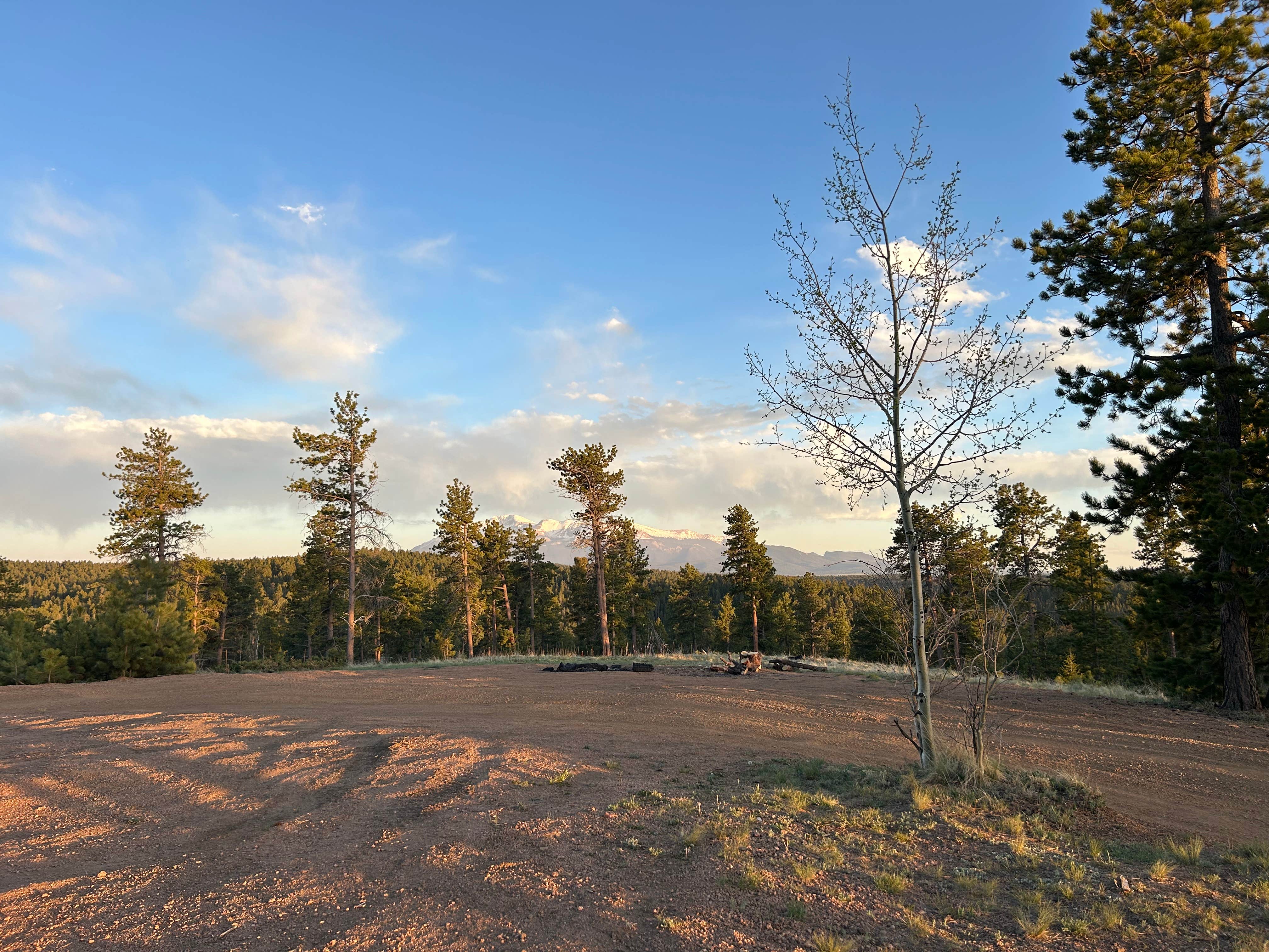 Mary Claire D.'s photo of a dispersed camping area at Manchester Creek Trailhead near Cripple Creek, CO