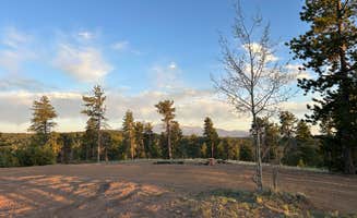 Mary Claire D.'s photo of a dispersed camping area at Manchester Creek Trailhead near Woodland Park, CO