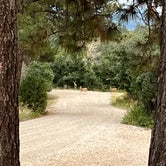 Review photo of Mancos State Park Campground by Michael , September 15, 2023