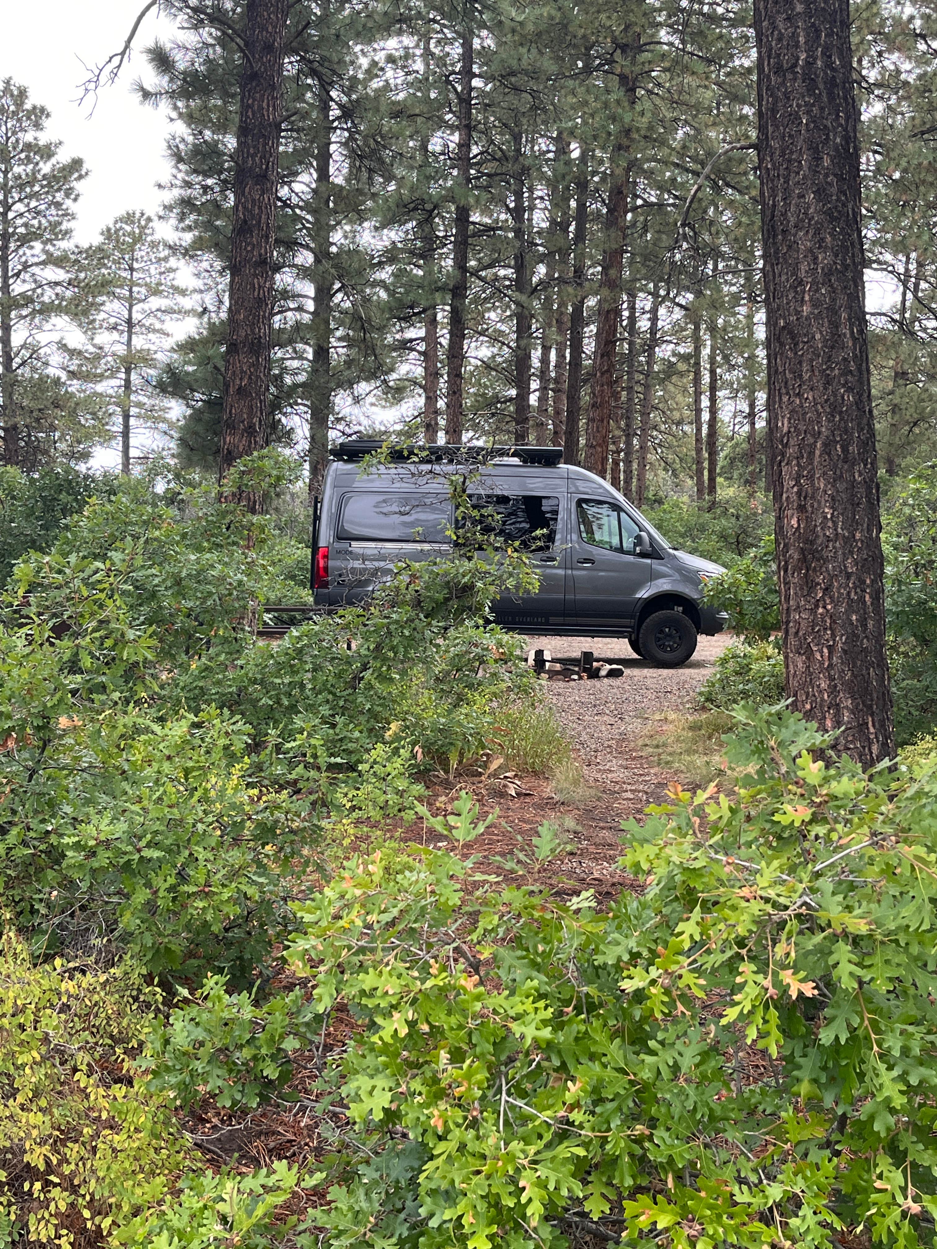 Camper-submitted photo at Mancos State Park Campground near Kirtland, NM