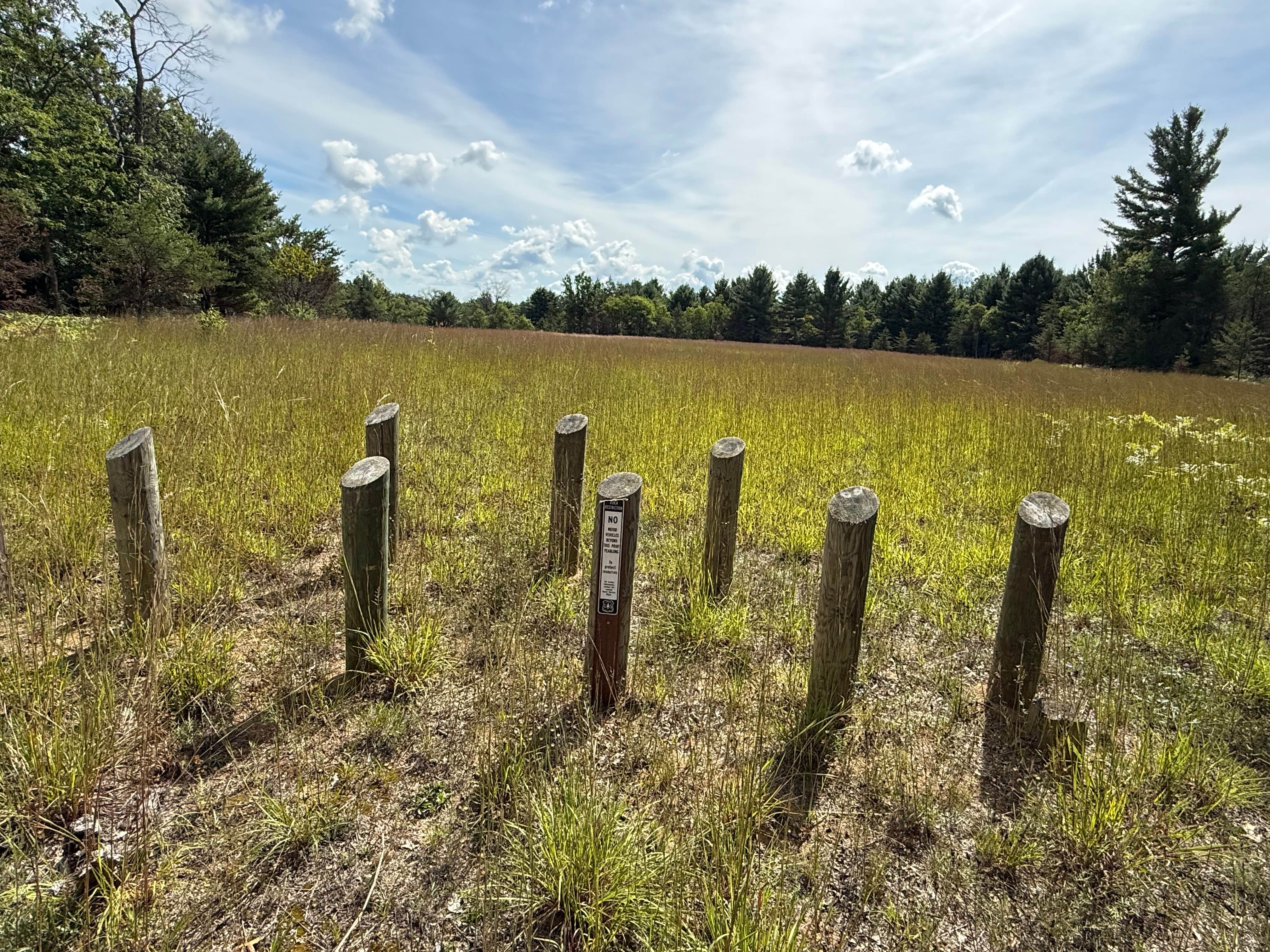 Camper-submitted photo at Spruce Road Pulloff Dispersed near Ludington, MI