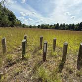 Review photo of Spruce Road Pulloff Dispersed by Linda C., August 27, 2025