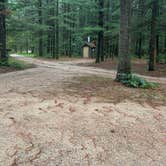 Review photo of Manistee National Forest Marzinski Horse Trail Campground by Betsy W., July 3, 2026