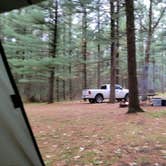 Review photo of Manistee National Forest Marzinski Horse Trail Campground by Mario F., October 27, 2024