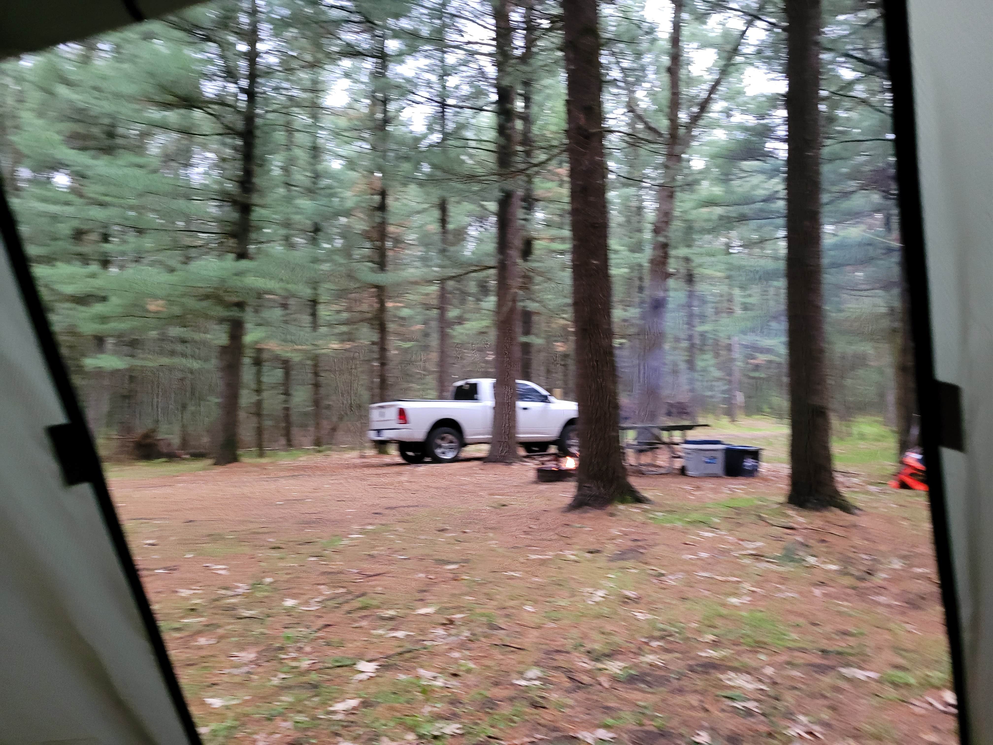 Camper submitted image from Manistee National Forest Marzinski Horse Trail Campground - 4