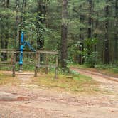 Review photo of Manistee National Forest Marzinski Horse Trail Campground by Betsy W., July 3, 2026