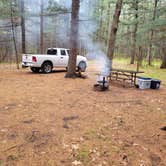 Review photo of Manistee National Forest Marzinski Horse Trail Campground by Mario F., October 27, 2024