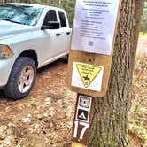 Review photo of Manistee National Forest Marzinski Horse Trail Campground by Mario F., October 27, 2024