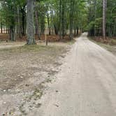 Review photo of Green Road Dispersed - Manistee NF by William A., September 22, 2024