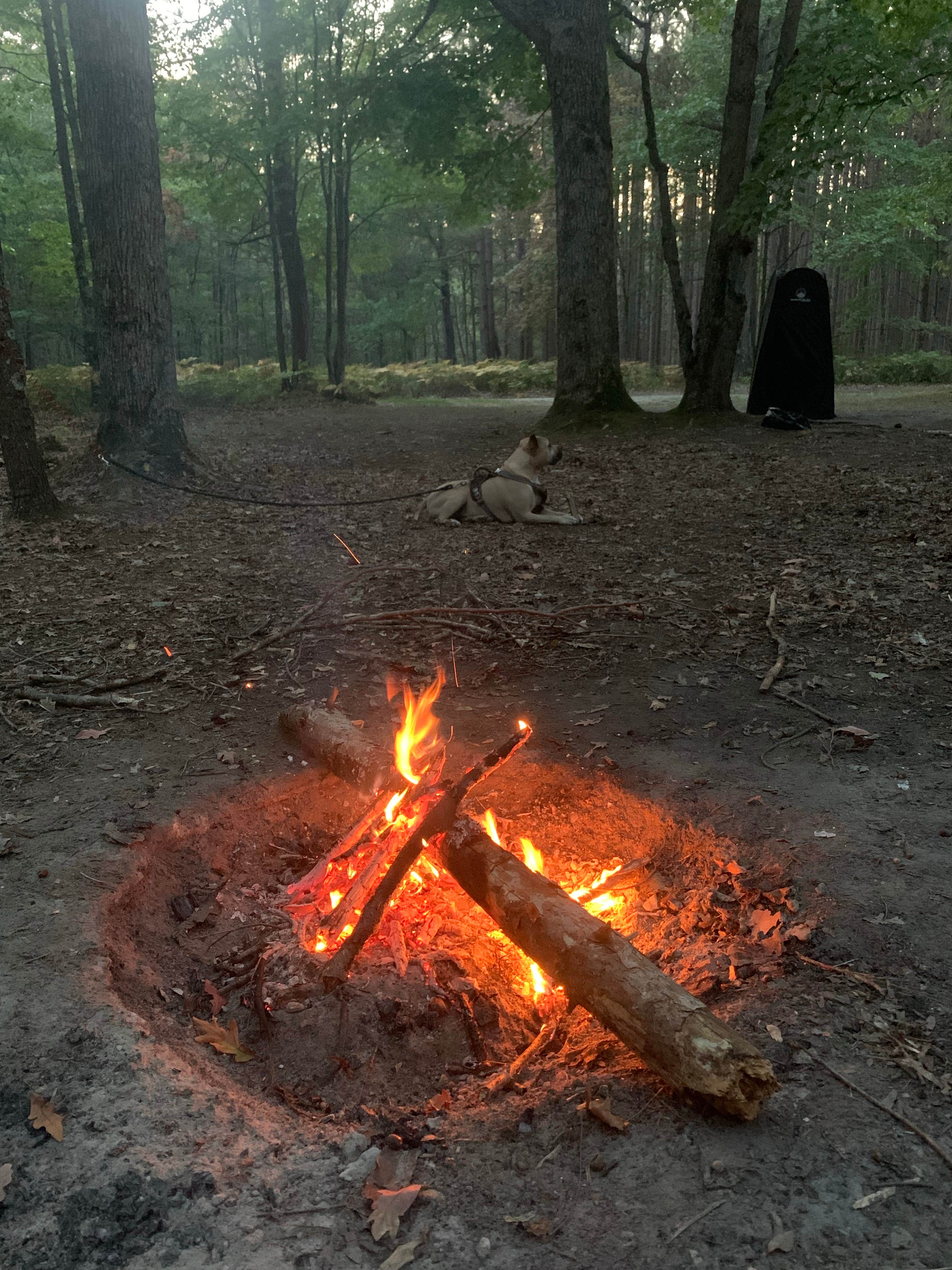 Camper-submitted photo at Green Road Dispersed - Manistee NF near Ludington, MI