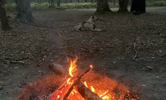 Camping near Orchard Beach State Park: Green Road Dispersed - Manistee NF, Ludington, Michigan