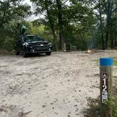 Review photo of Green Road Dispersed - Manistee NF by John C., September 26, 2025