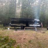 Review photo of Green Road Dispersed - Manistee NF by shelly B., August 11, 2026