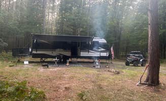 shelly B.'s photo of camping with pets at Green Road Dispersed - Manistee NF near Free Soil, MI