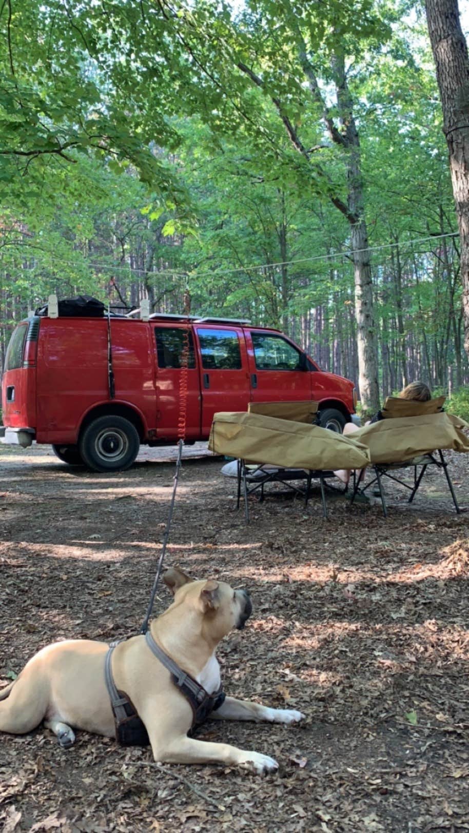Hunter G.'s photo of camping with pets at Green Road Dispersed - Manistee NF near Free Soil, MI