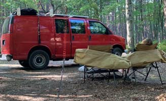 Hunter G.'s photo of camping with pets at Green Road Dispersed - Manistee NF near Free Soil, MI