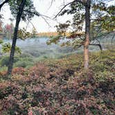 Review photo of Green Road Dispersed - Manistee NF by Evelyn K., October 12, 2025