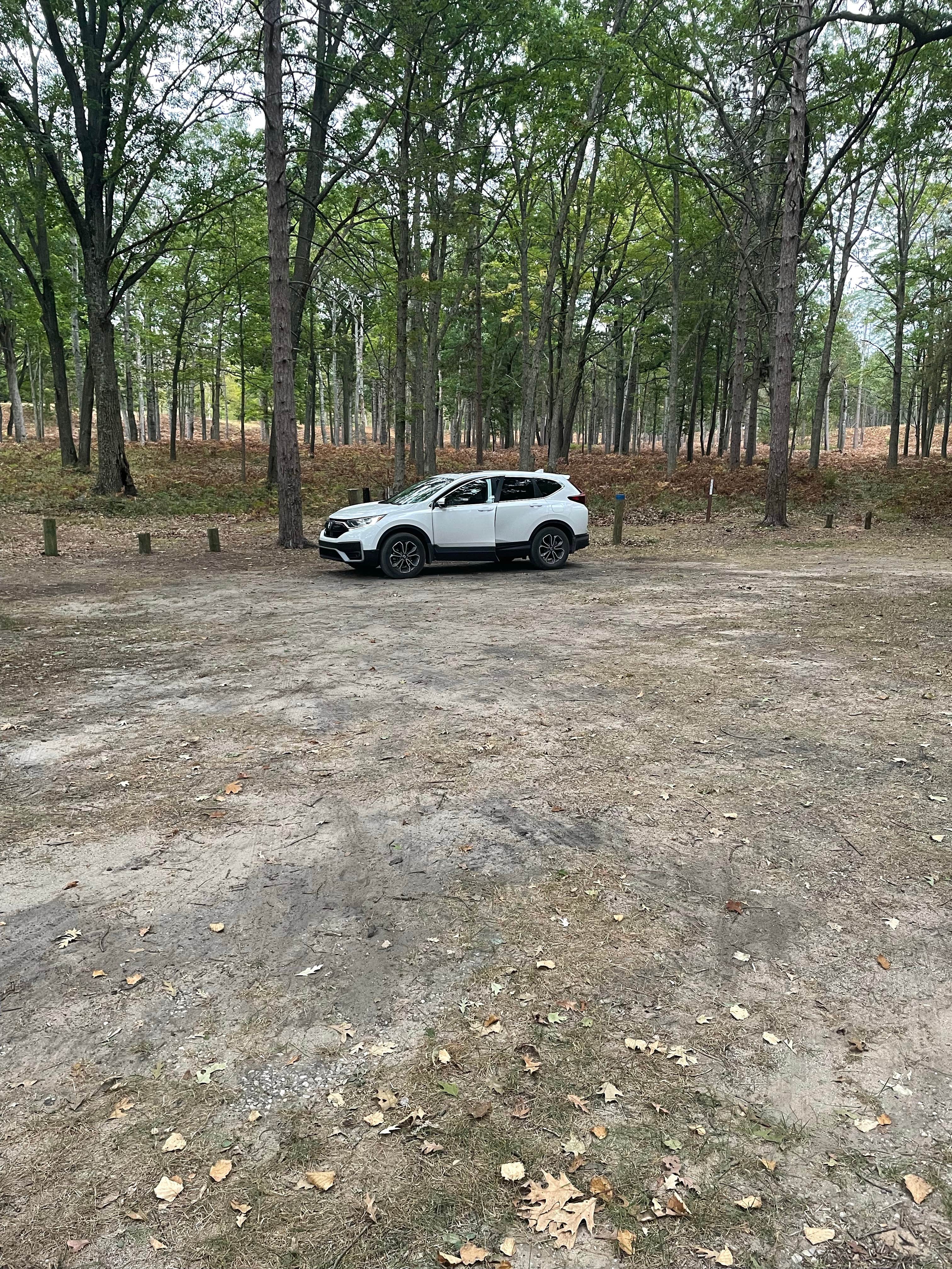 Camper-submitted photo at Green Road Dispersed - Manistee NF near Ludington, MI