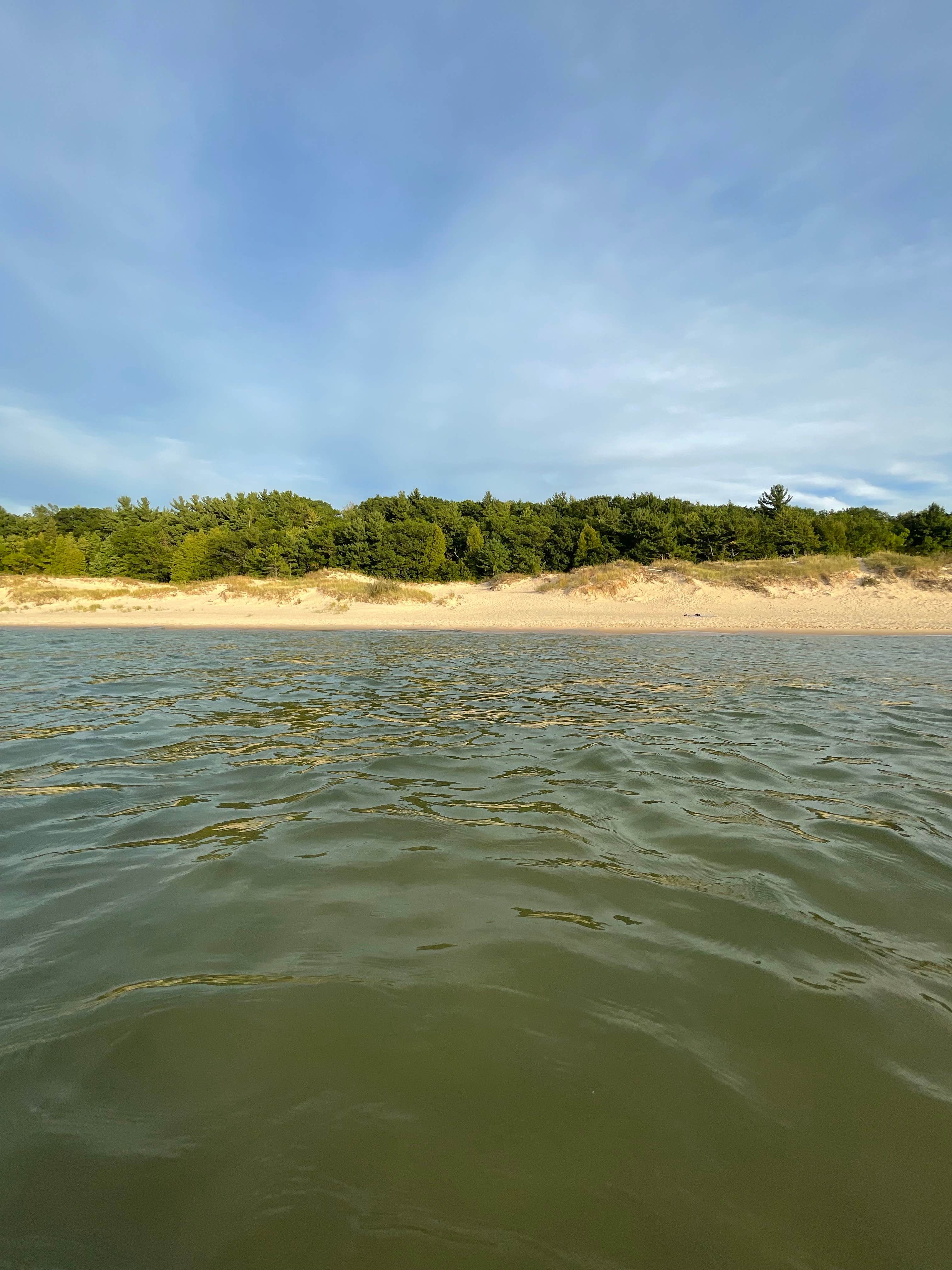 William A.'s photo of a dispersed camping area at Green Road Dispersed - Manistee NF near Bitely, MI
