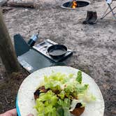 Review photo of Green Road Dispersed - Manistee NF by John C., September 26, 2025