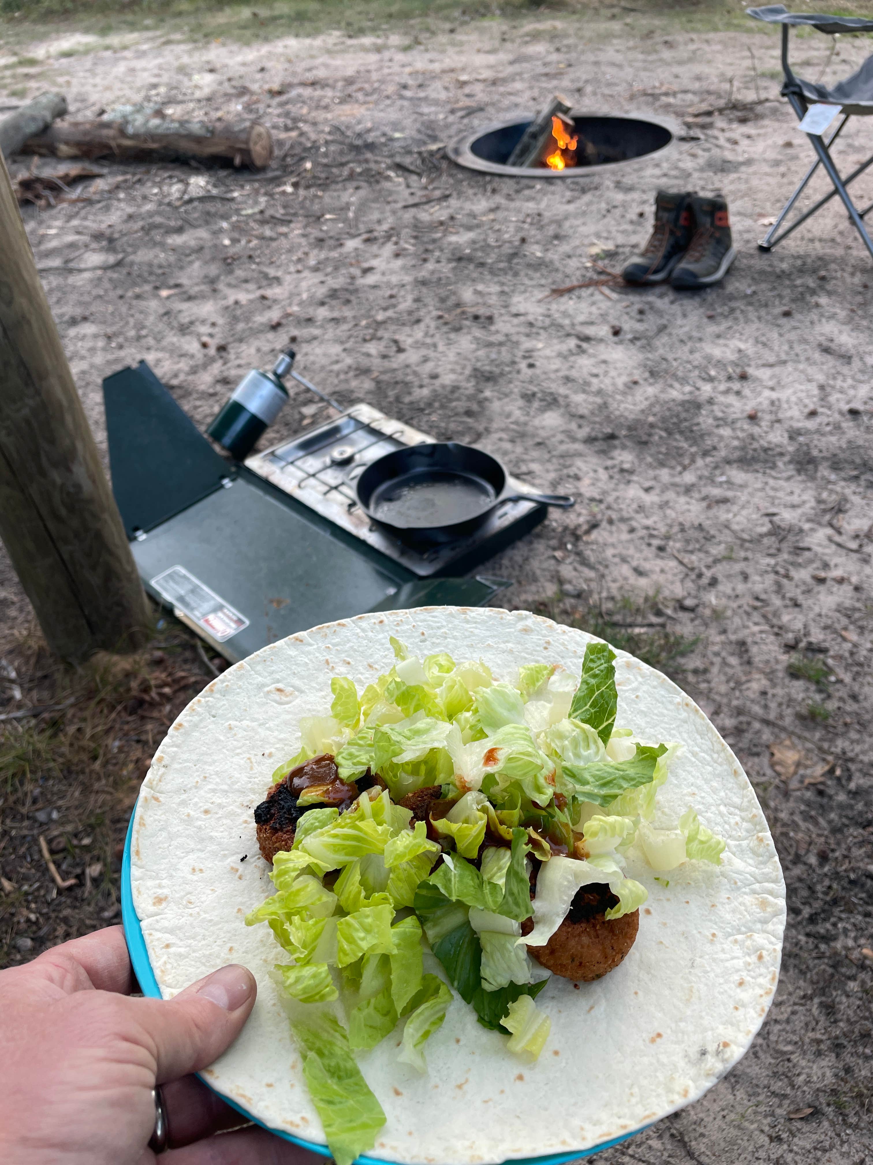 Camper submitted image from Green Road Dispersed - Manistee NF - 3