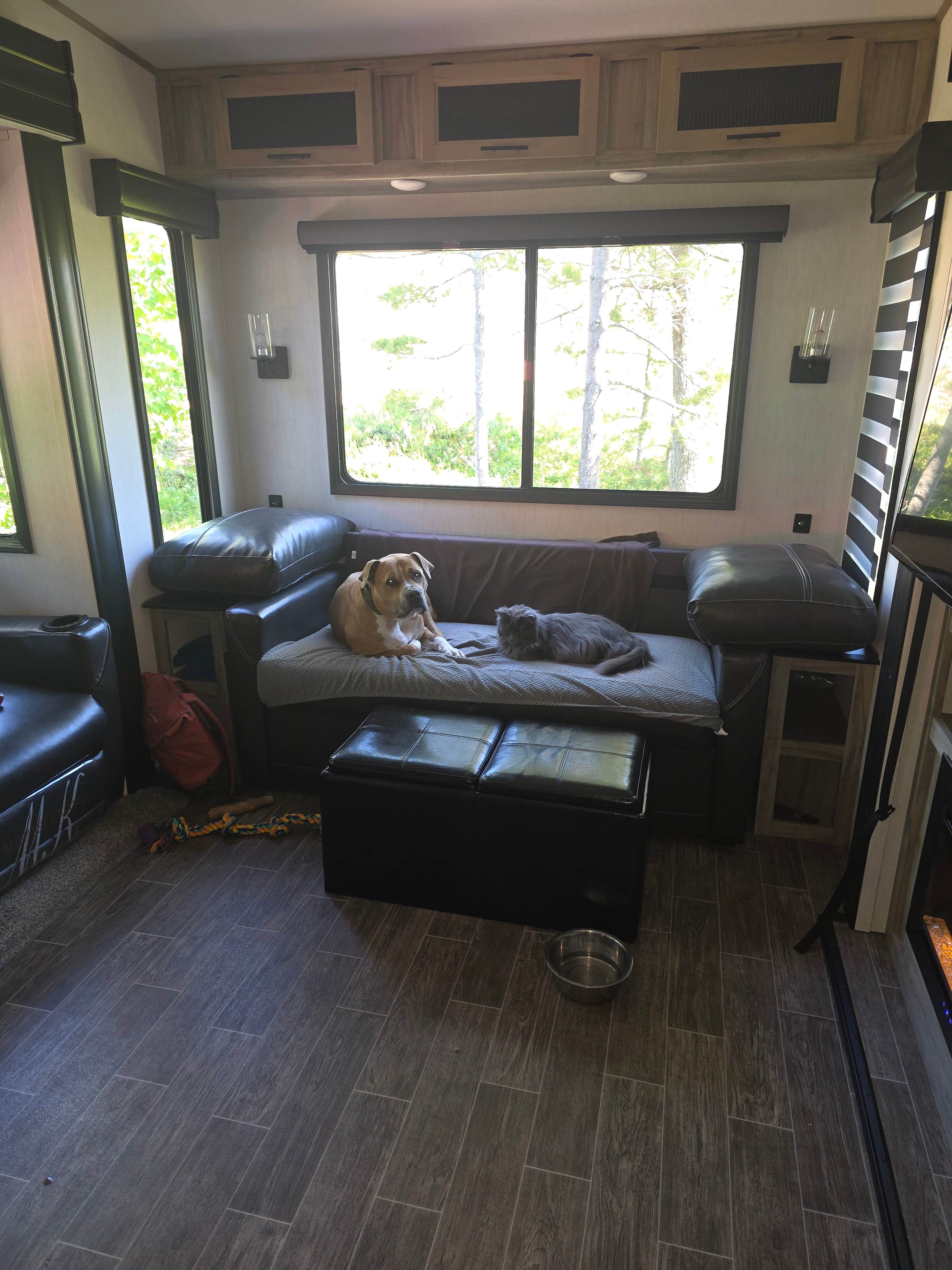 Gary V.'s photo of camping with pets at Manistique Lakeshore Campground near Garden, MI