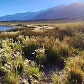 Review photo of Mann Lake Recreation Site by Fred S., October 14, 2024