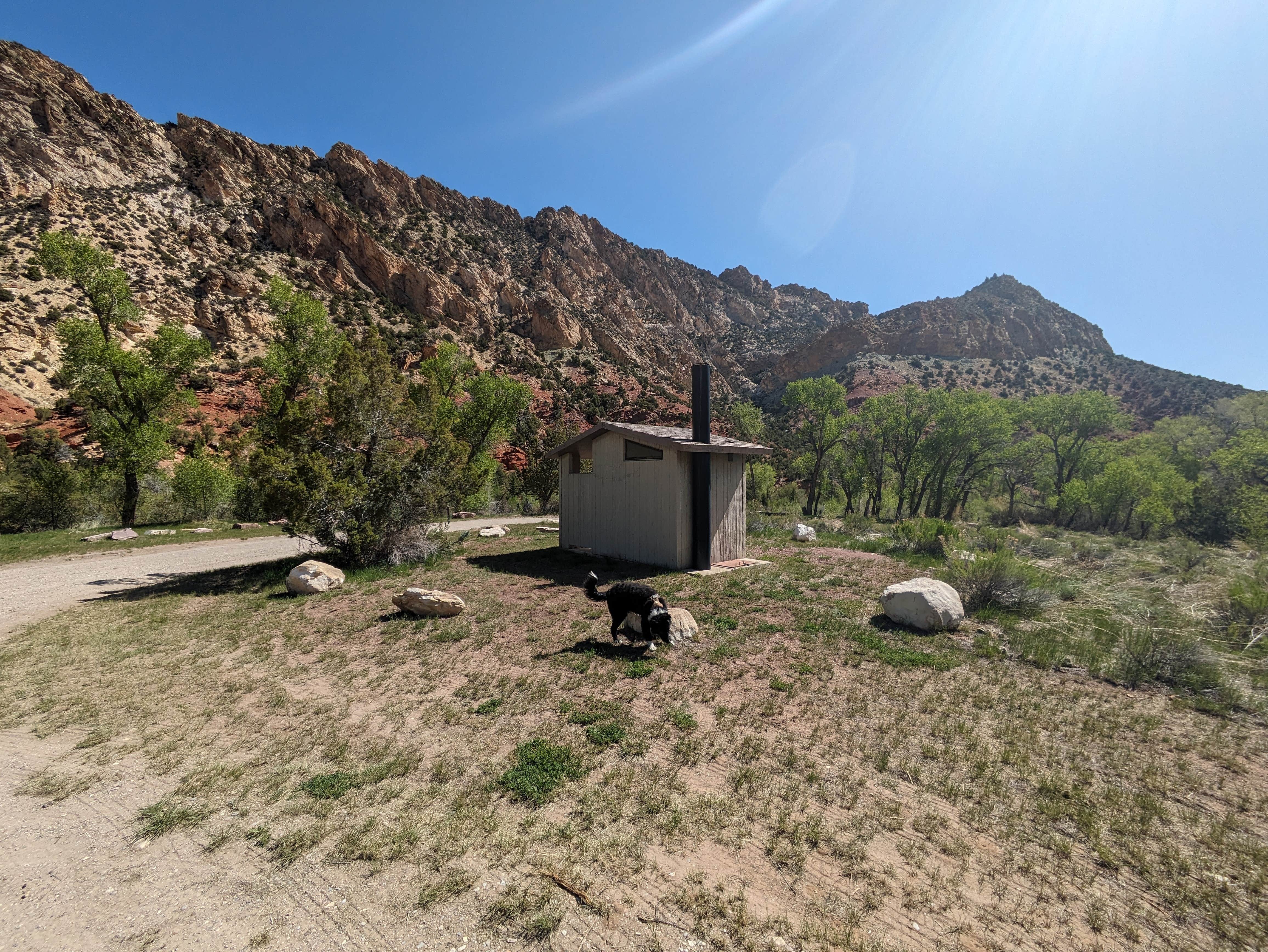 Greg L.'s photo of camping with pets at Manns Campground - Ashley National Forest near Ashley National Forest
