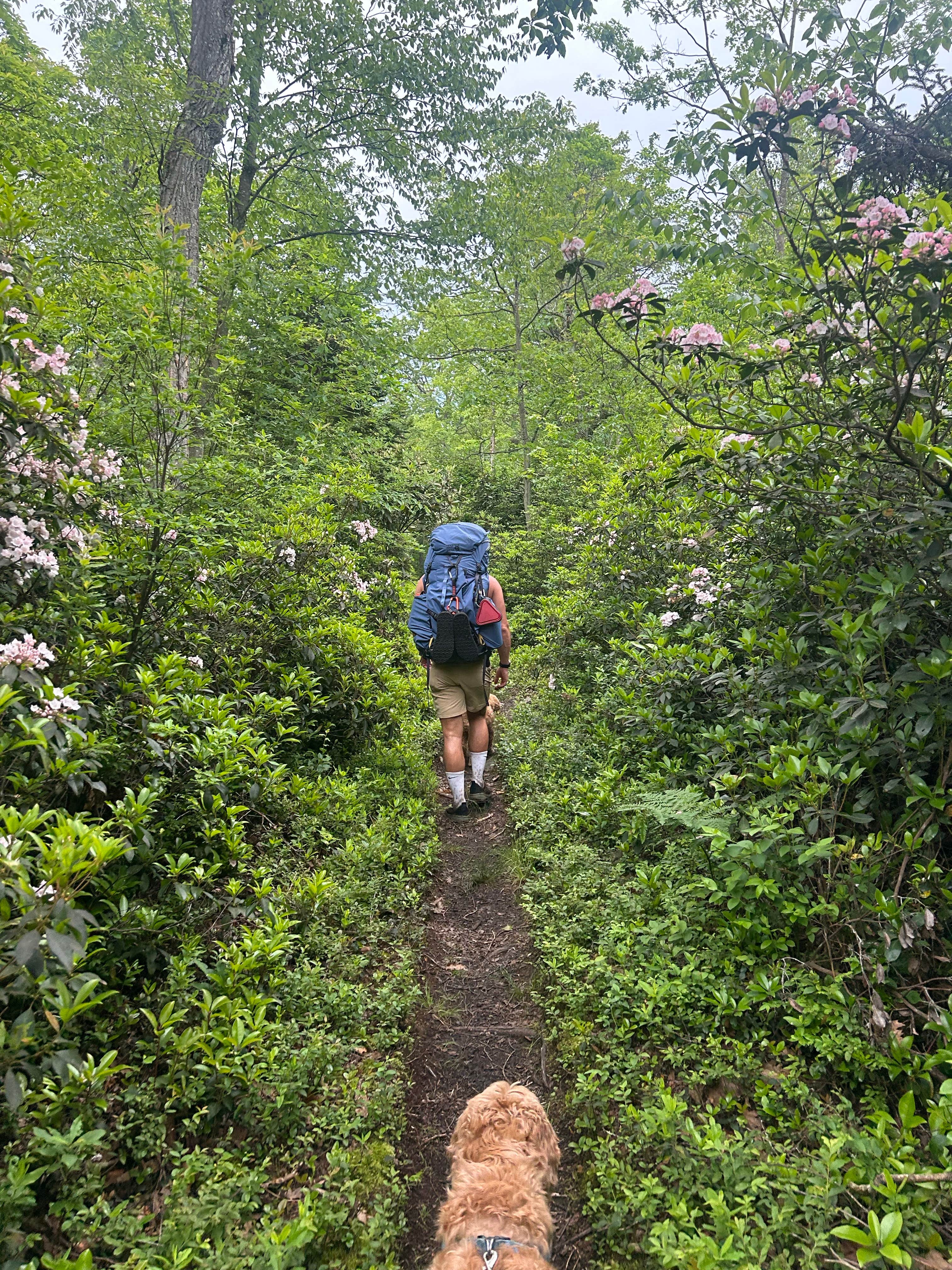 Camper-submitted photo at Manny Gordon Recreation Area Campground — Pinchot State Forest near Tobyhanna, PA