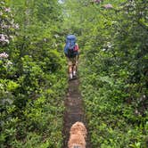 Review photo of Manny Gordon Recreation Area Campground — Pinchot State Forest by Gavin S., June 24, 2025