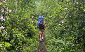 Gavin S.'s photo of camping with pets at Manny Gordon Recreation Area Campground — Pinchot State Forest near Sweet Valley, PA