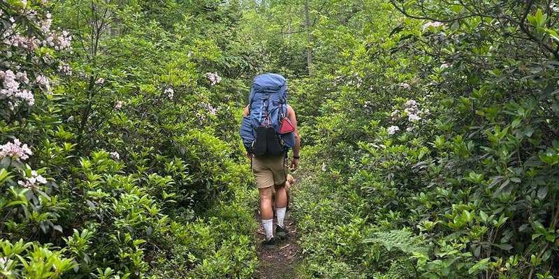 Camper submitted image from Manny Gordon Recreation Area Campground — Pinchot State Forest