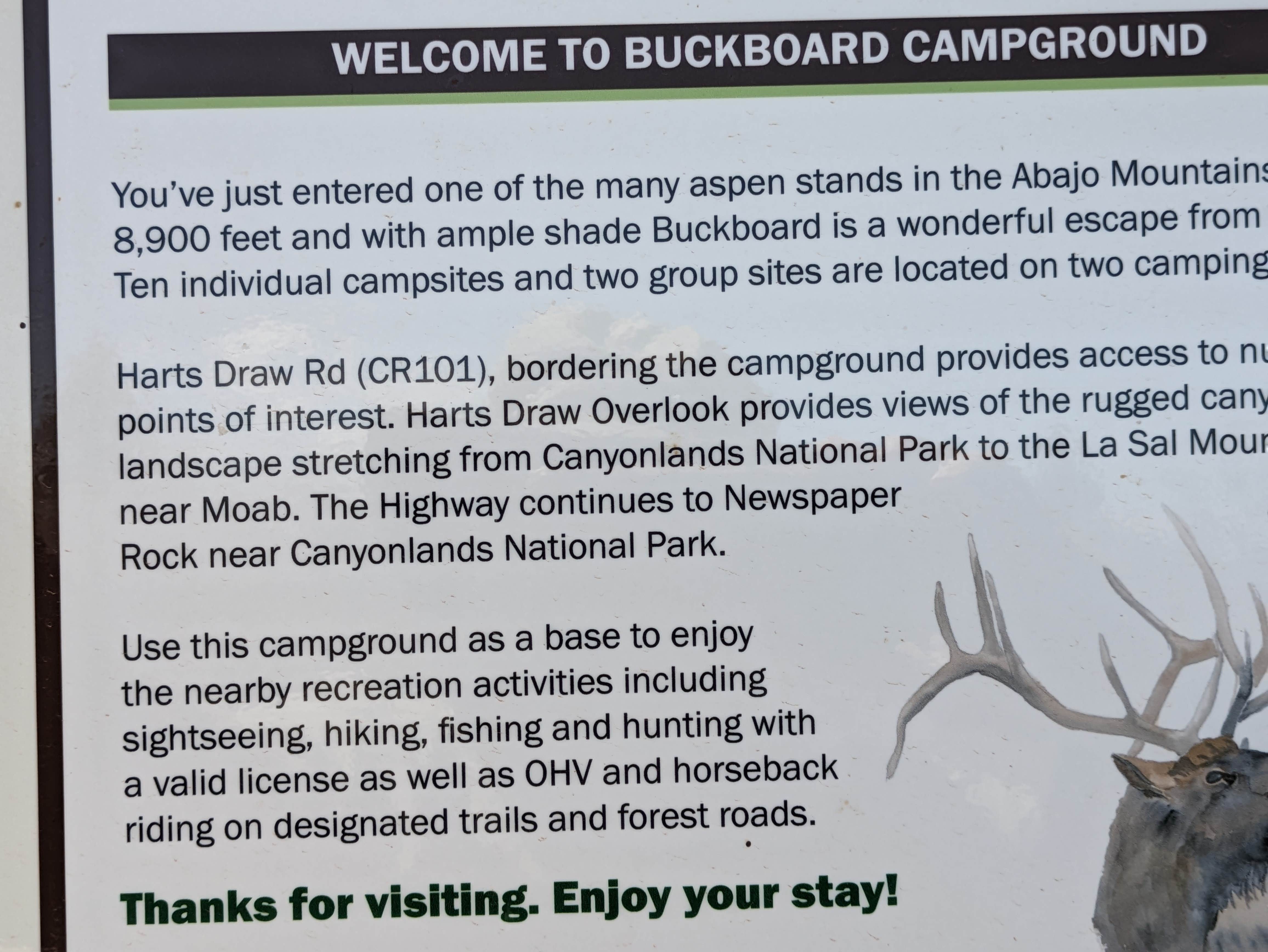 Camper submitted image from Manti-LaSal National Forest Buckboard Campground - 5