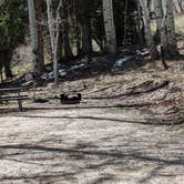 Review photo of Manti-LaSal National Forest Buckboard Campground by Greg L., May 7, 2024