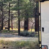 Review photo of Manti-LaSal National Forest Nizhoni Campground by Ignacio R., May 29, 2025