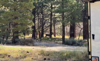 Ignacio R.'s photo of camping with pets at Manti-LaSal National Forest Nizhoni Campground near Blanding, UT