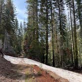 Review photo of Manzanita Lake Campground — Lassen Volcanic National Park by Kim G., June 12, 2025