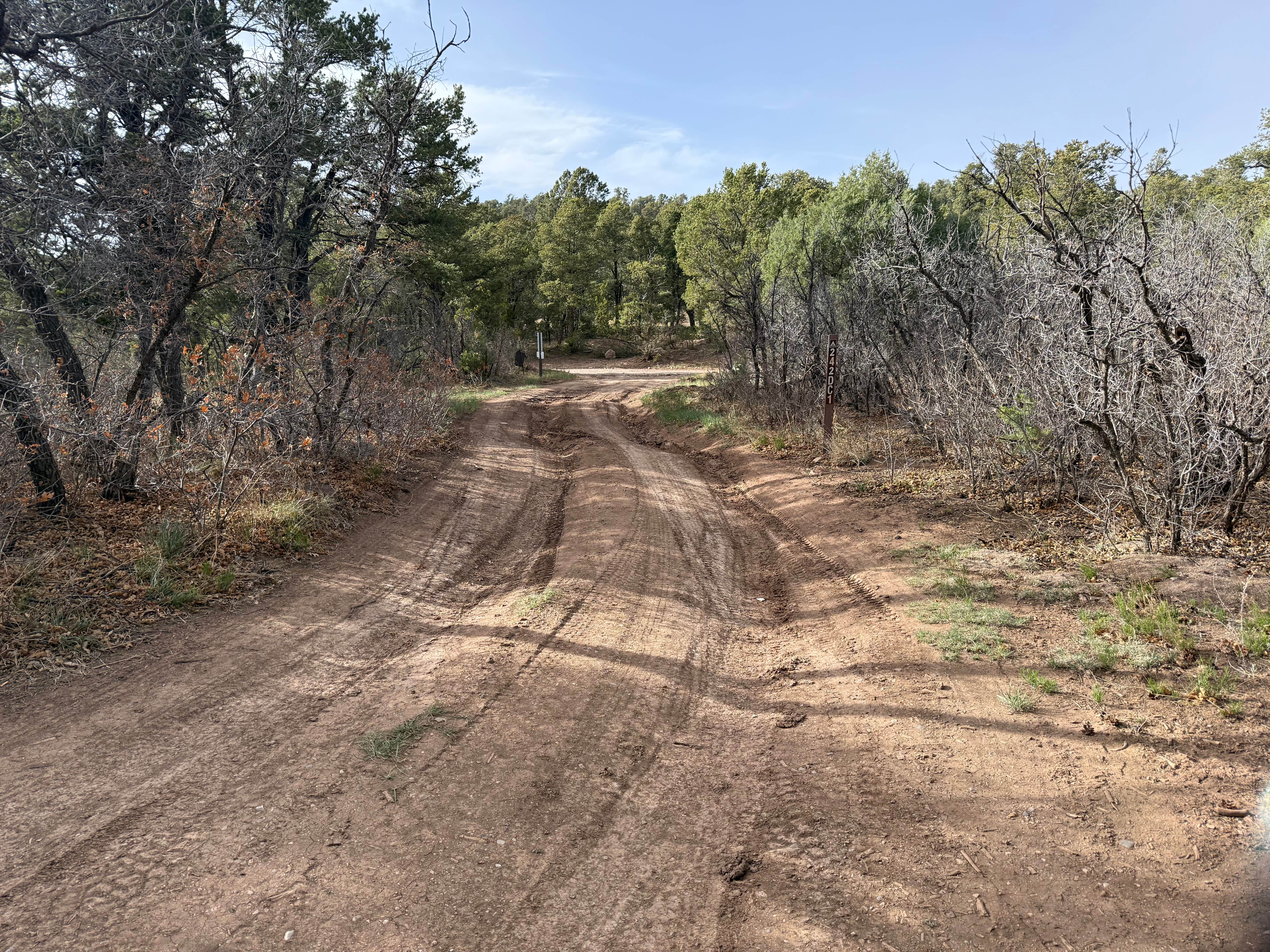 Camper-submitted photo at Manzanita Rec Zone Dispersed Camping - Sandia District near Tijeras, NM
