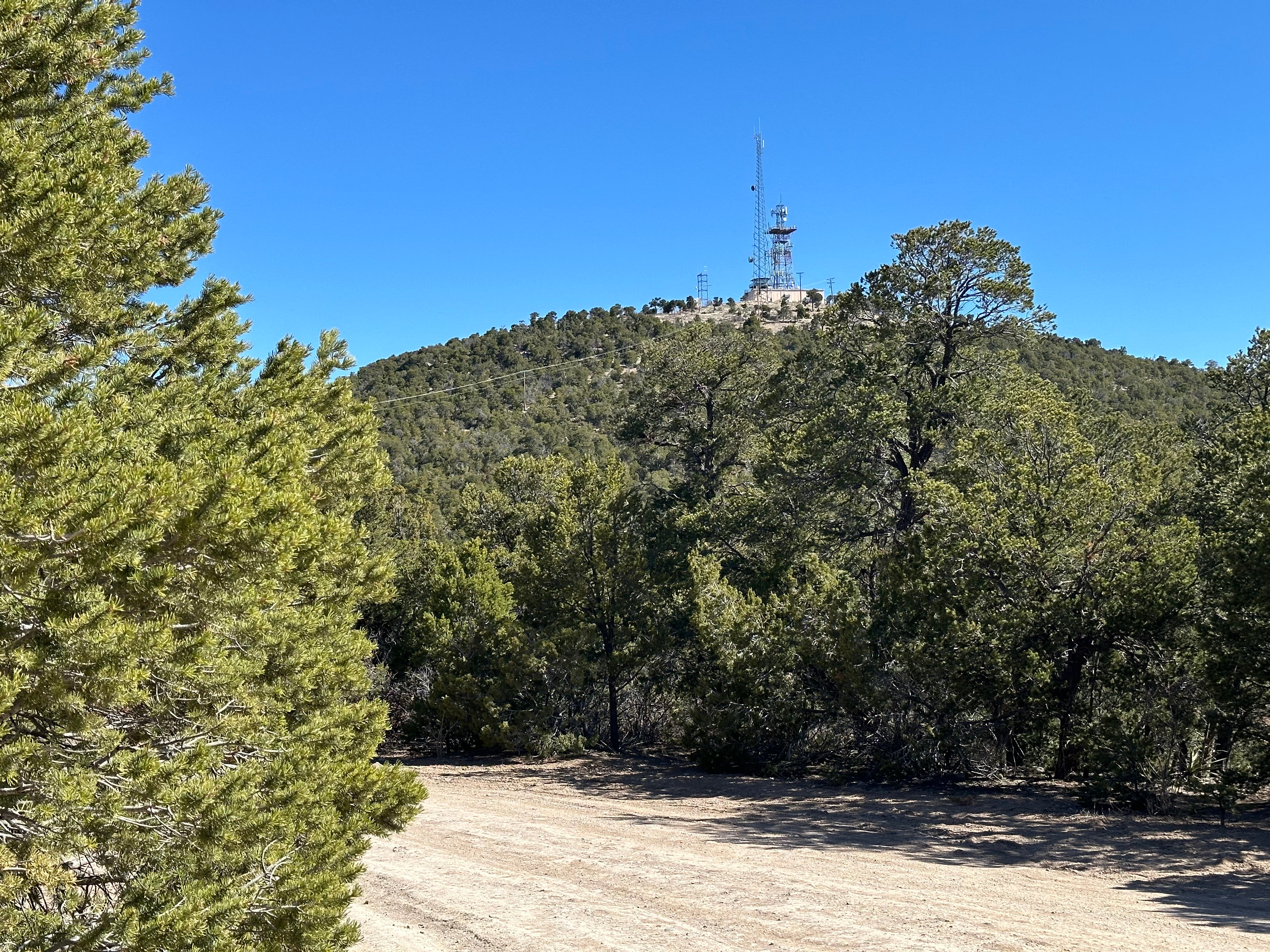 Camper submitted image from Manzanita Rec Zone Dispersed Camping - Sandia District - 1