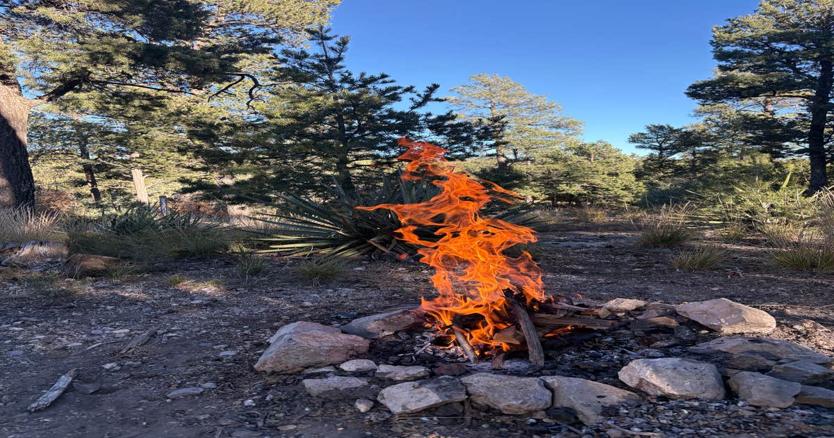Manzanita Rec Zone Dispersed Camping - Sandia District