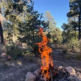 Review photo of Manzanita Rec Zone Dispersed Camping - Sandia District by Anita T., November 4, 2025