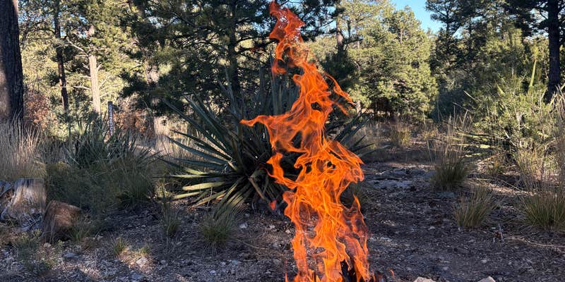 Camper submitted image from Manzanita Rec Zone Dispersed Camping - Sandia District