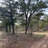 Review photo of Manzanita Rec Zone Dispersed Camping - Sandia District by Jennifer M., April 27, 2025
