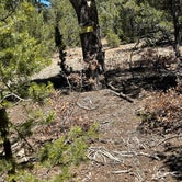 Review photo of Manzanita Rec Zone Dispersed Camping - Sandia District by Lewis T., April 21, 2024