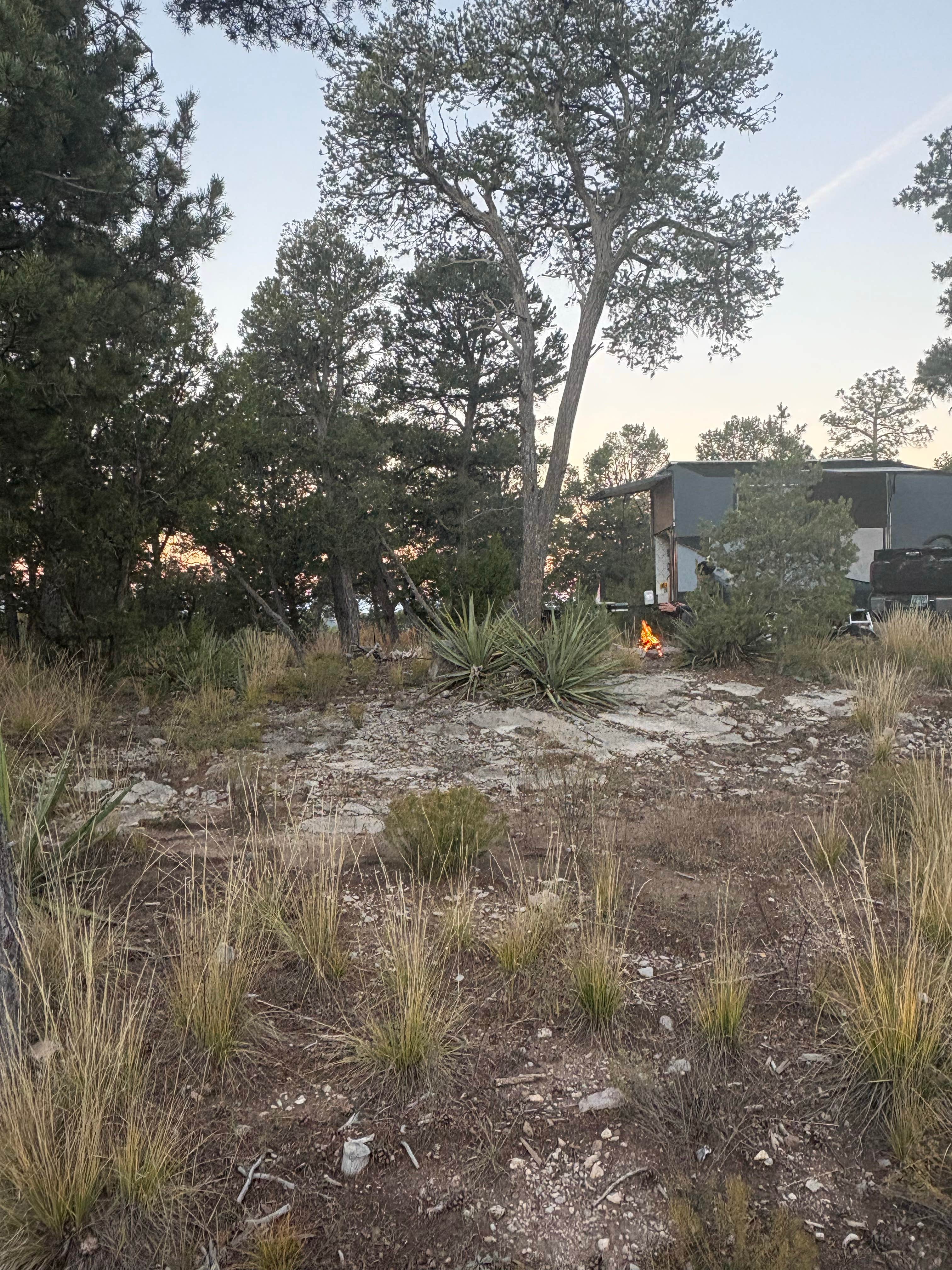 Camper-submitted photo at Manzanita Rec Zone Dispersed Camping - Sandia District near Tijeras, NM