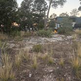 Review photo of Manzanita Rec Zone Dispersed Camping - Sandia District by Anita T., November 4, 2025