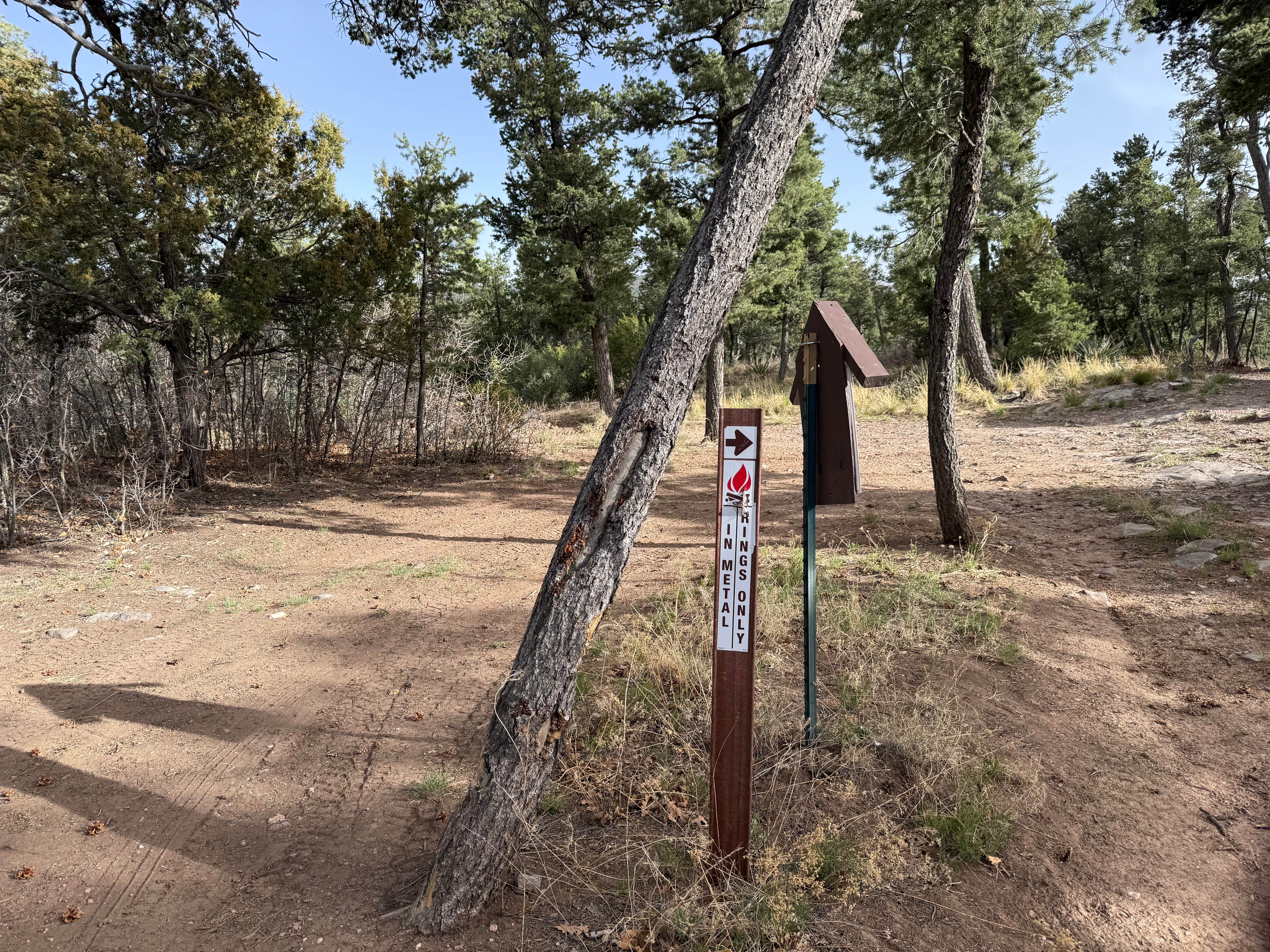Camper-submitted photo at Manzanita Rec Zone Dispersed Camping - Sandia District near Tijeras, NM